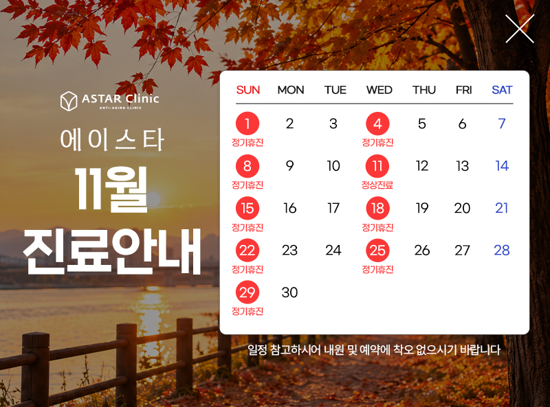 2026년 11월 진료안내